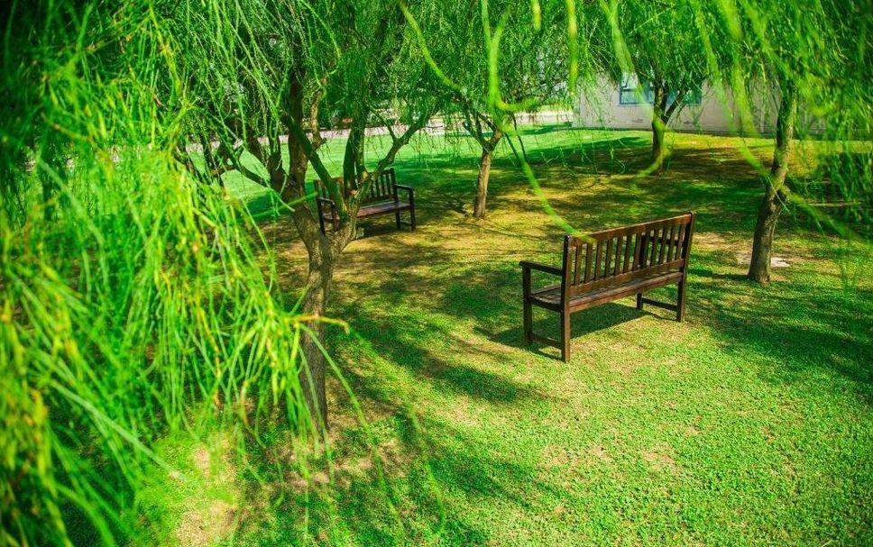 建物 写真