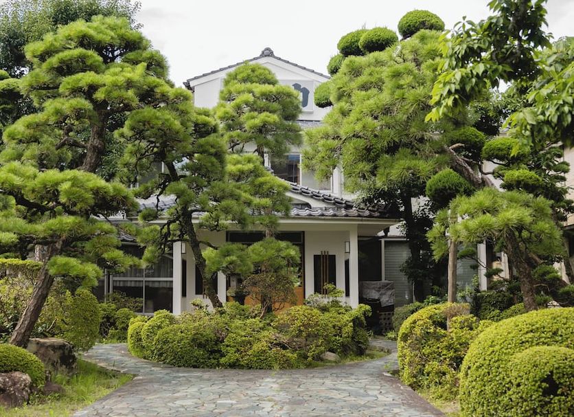 屋外の景色 写真