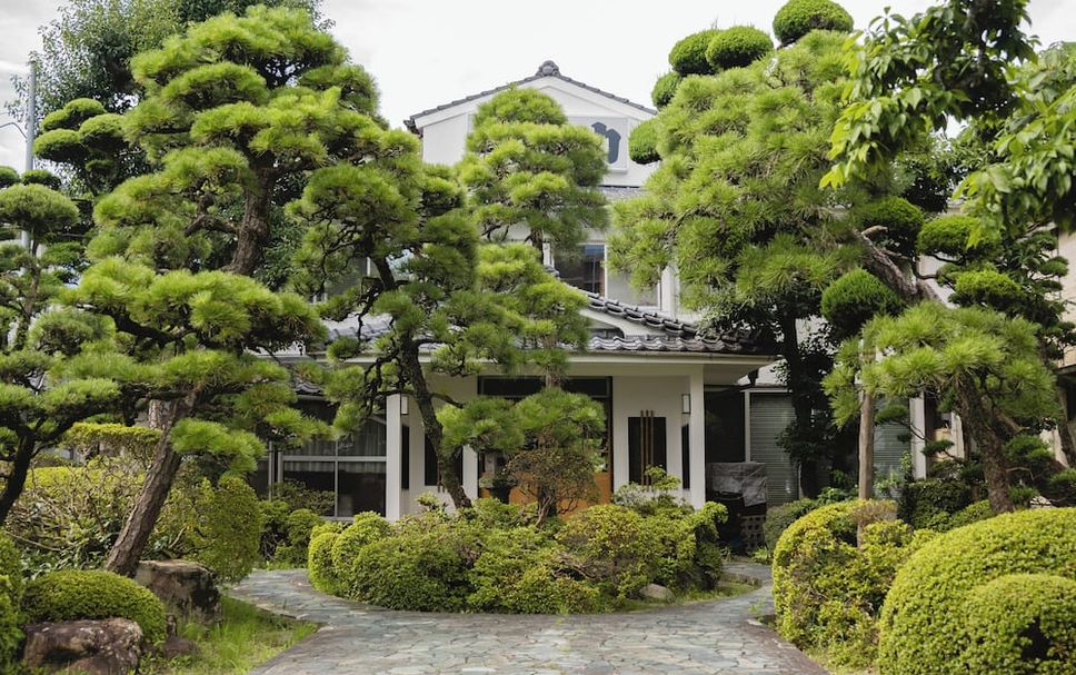 屋外の景色 写真