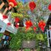 屋外の景色