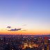 屋外の景色