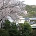 屋外の景色