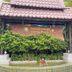 屋外の景色