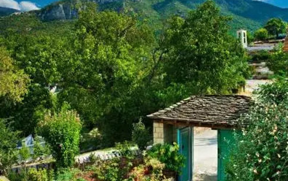 屋外の景色 写真