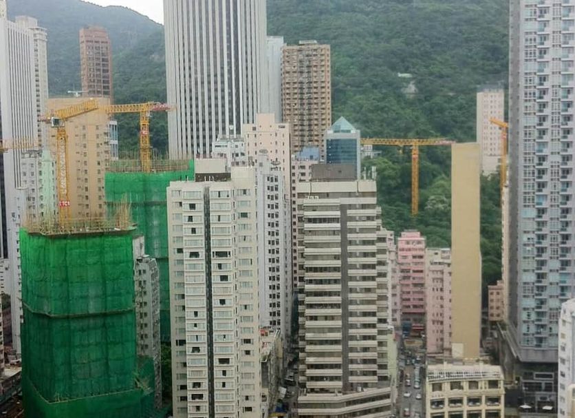 屋外の景色 写真