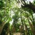 屋外の景色