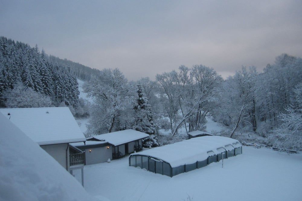 屋外の景色