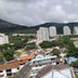 屋外の景色