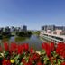 屋外の景色