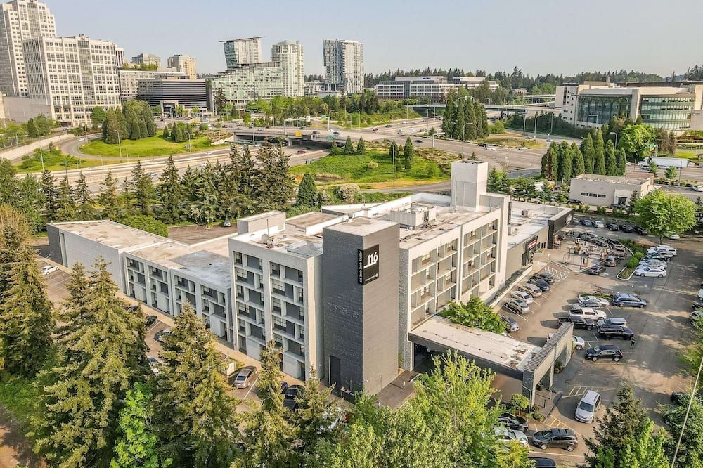 屋外の景色