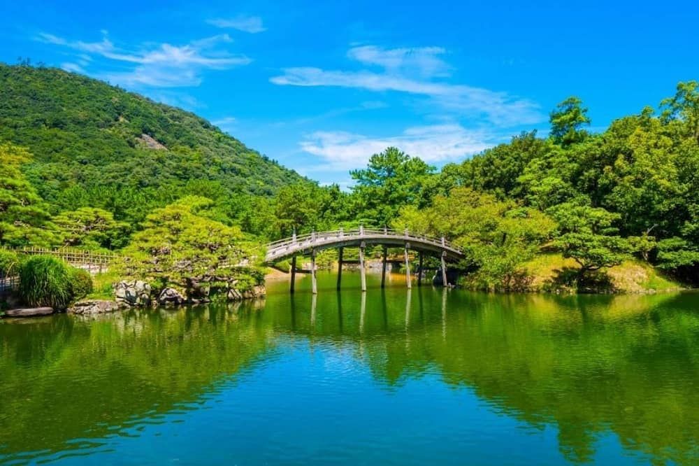 屋外の景色