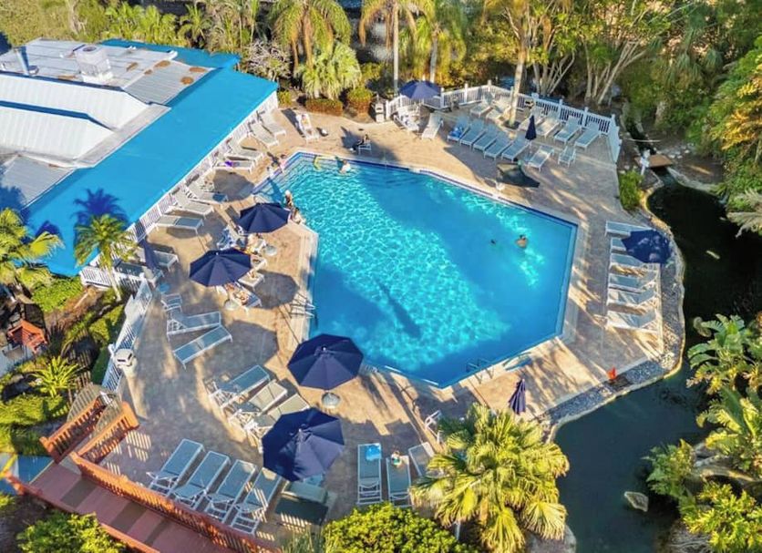 プール 写真
