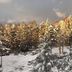屋外の景色