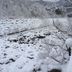 屋外の景色