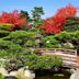 屋外の景色