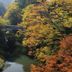 屋外の景色