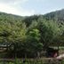 屋外の景色