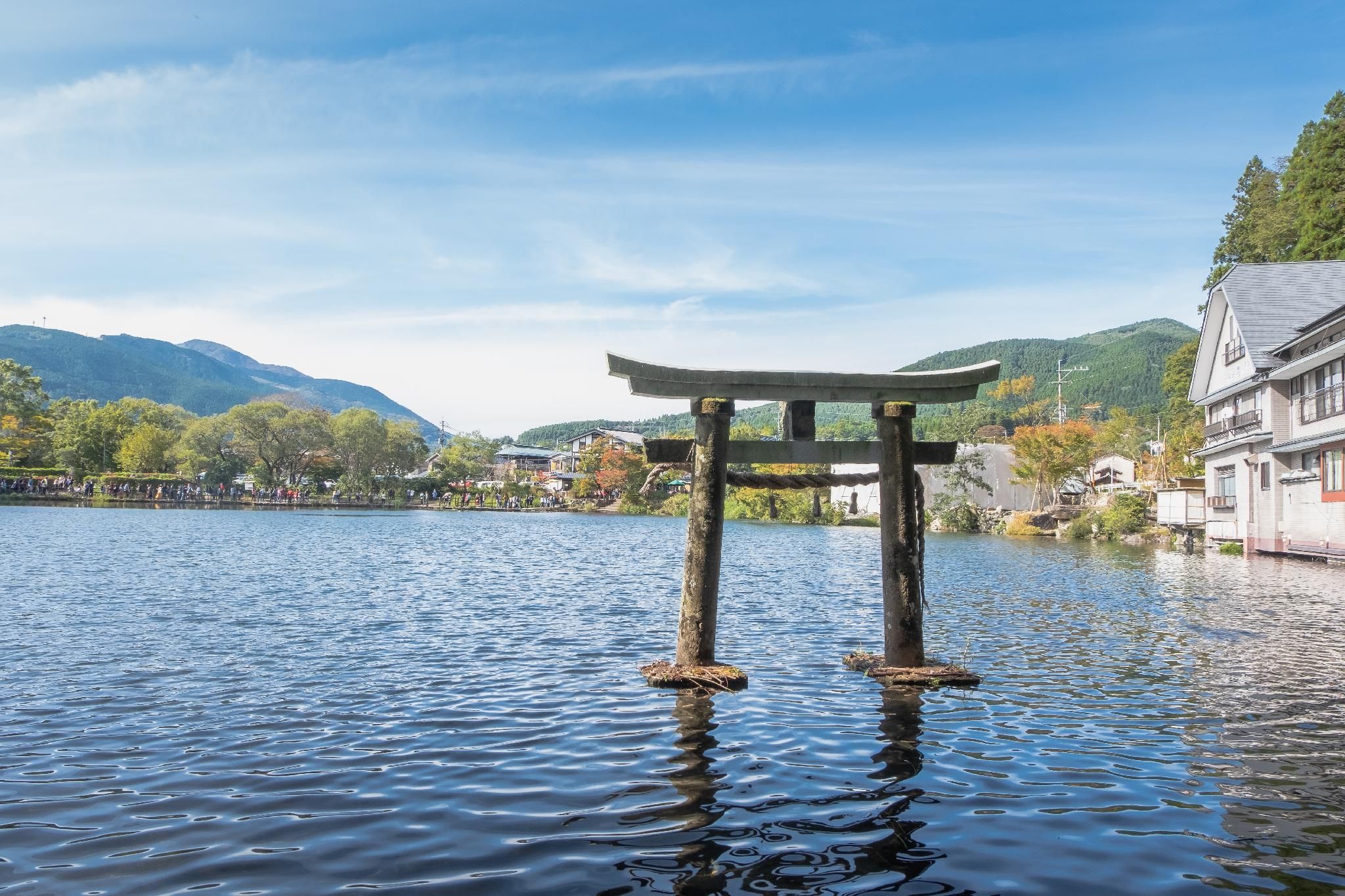 屋外の景色