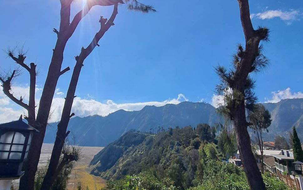 屋外の景色 写真