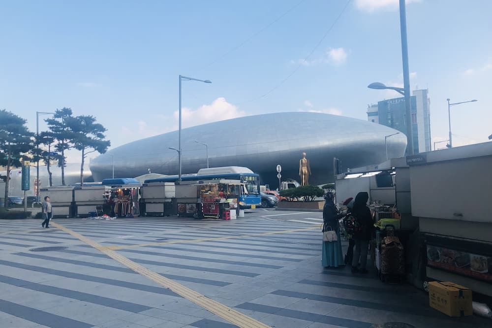 屋外の景色