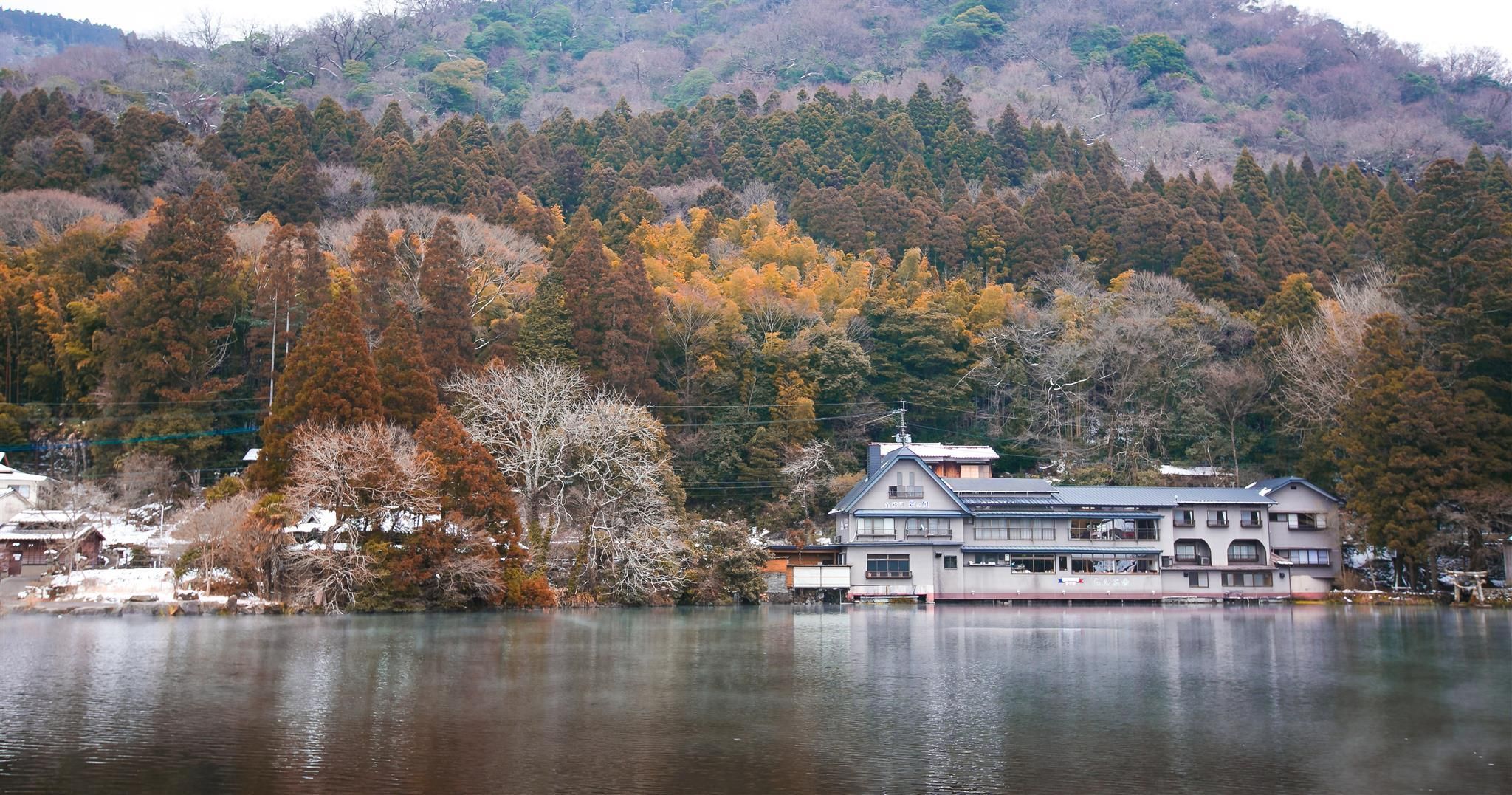 屋外の景色