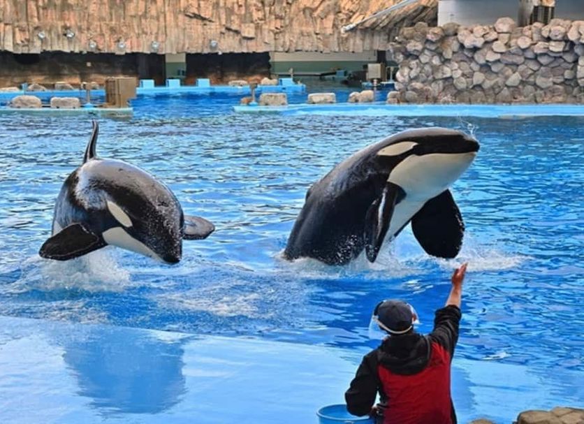 その他 写真