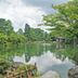 屋外の景色