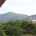 屋外の景色