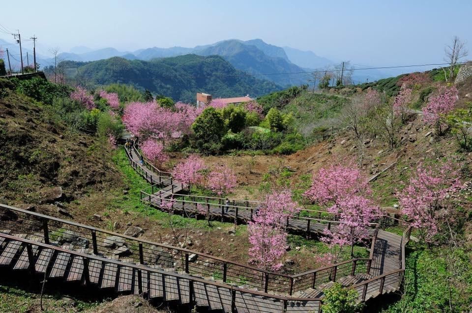 屋外の景色