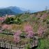 屋外の景色