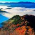 屋外の景色