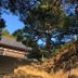 屋外の景色