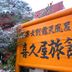 屋外の景色