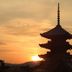 屋外の景色