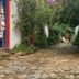屋外の景色