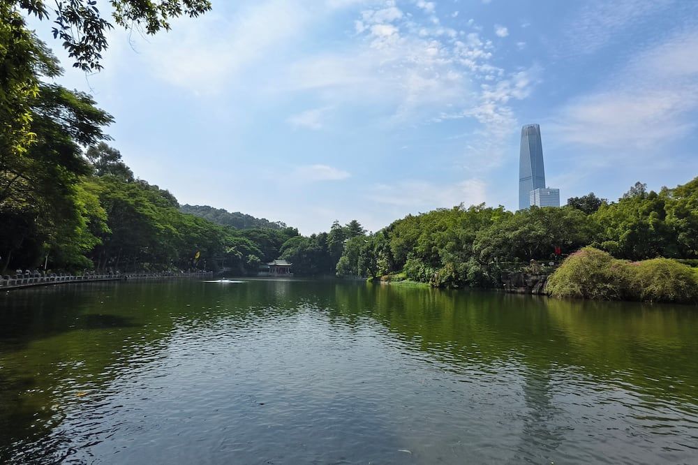 屋外の景色 写真