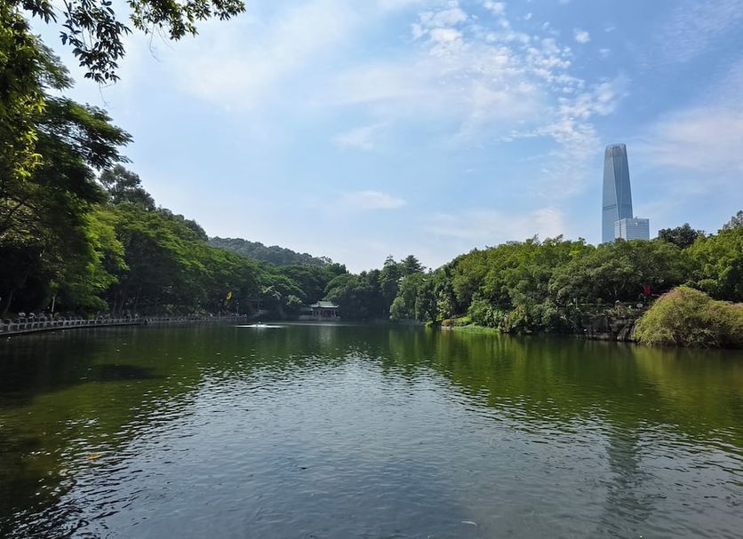屋外の景色 写真