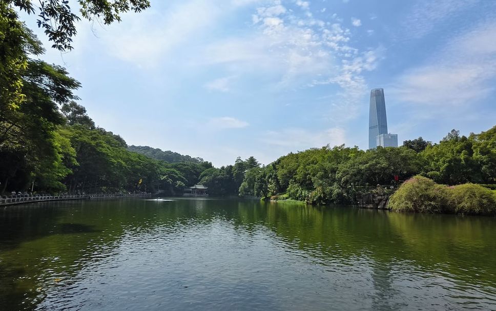 屋外の景色 写真