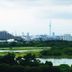 屋外の景色