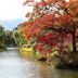 屋外の景色