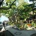 屋外の景色