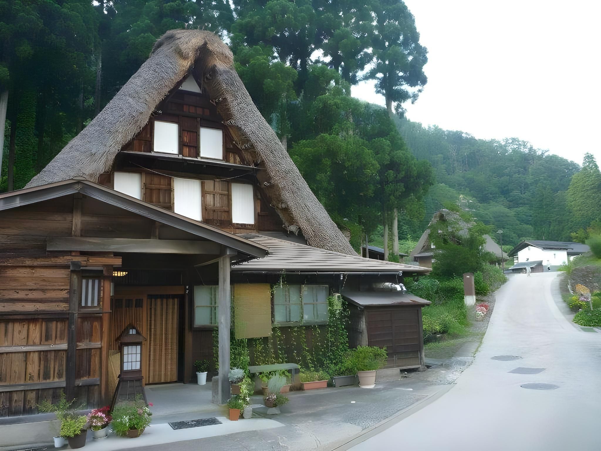 屋外の景色