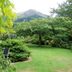 屋外の景色