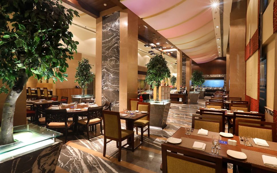 レストラン 写真