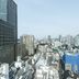 屋外の景色
