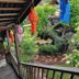 屋外の景色