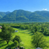 屋外の景色
