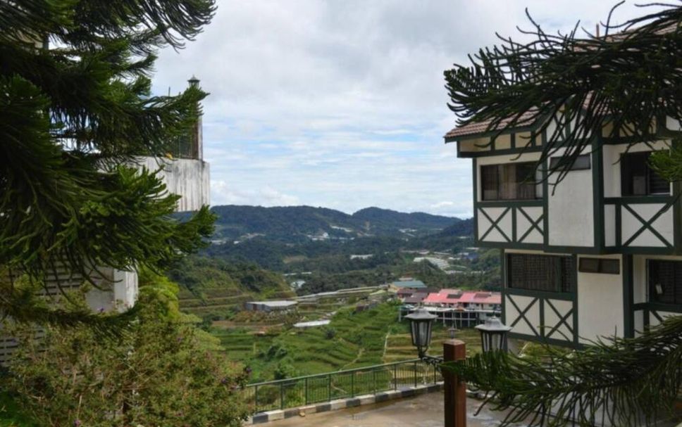 屋外の景色 写真