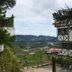 屋外の景色