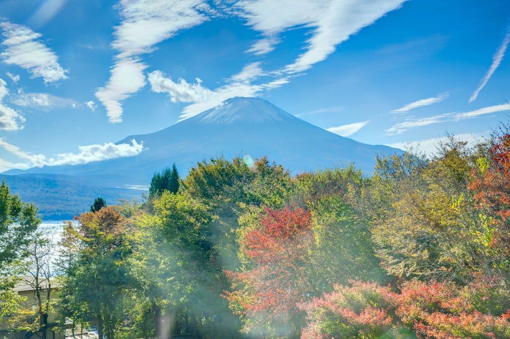 屋外の景色